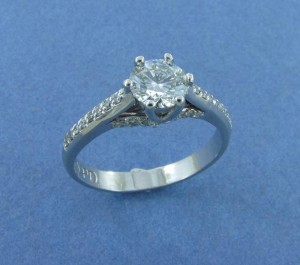 Geldenhys I Jan 2 (Copy)