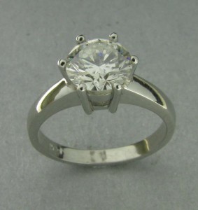 Reander Botha Cropped Photo (Copy)