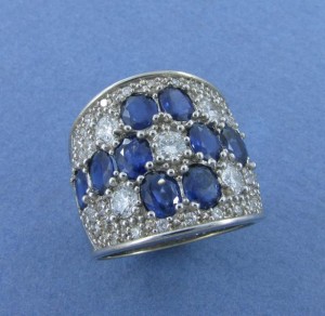 Beneke A June 2 (Copy) (1)  